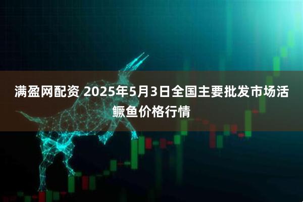 满盈网配资 2025年5月3日全国主要批发市场活鳜鱼价格行情